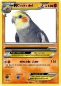 Cockatiel