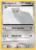 Gato branco