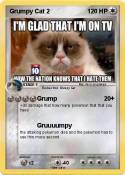 Grumpy Cat 2