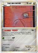 THE BIG BOOK