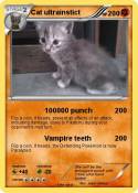 Cat ultrainstic