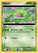 shaymin