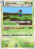 steve is boss