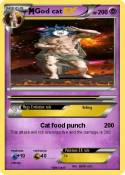 God cat