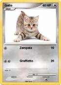 Gatto