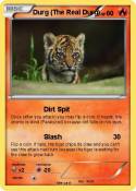Durg (The Real