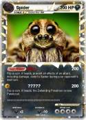 Spider
