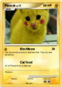 Pikacat