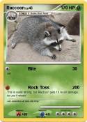 Raccoon
