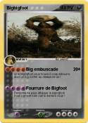 Bigbigfoot