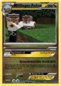 Villager Police