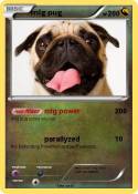 mlg pug