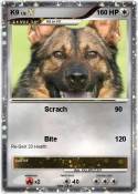 K9