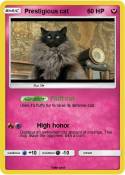 Prestigious cat