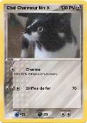 Chat Charmeur