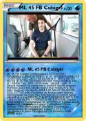 ML 45 FB Cubige