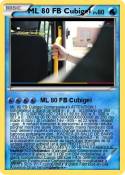 ML 80 FB Cubige