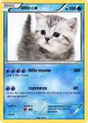 little cat