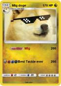 Mlg doge
