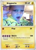 Briggsachu