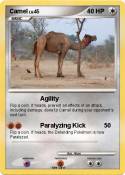 Camel