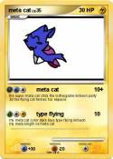 meta cat