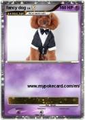 fancy dog