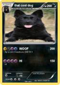 that cool dog