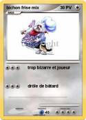 bichon frise