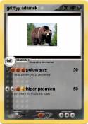 grizlyy adamek