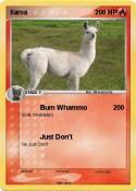 llama