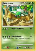 Torterra