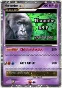 Harambe