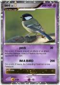 bird