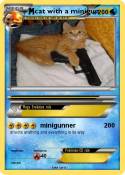 cat with a