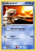 cat with an