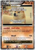 Doge