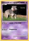 bullmastiff