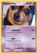 Confused dog