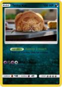 Tabby Kat
