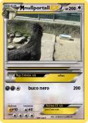 nullportall