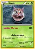 chaquin