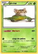 gre-chat