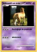 bullmastiff est