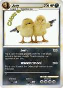 Joey