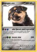 dognight