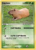 Capybara ∞+1
