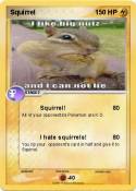 Squirrel