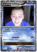 guillaume le
