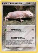 RATA TOPO